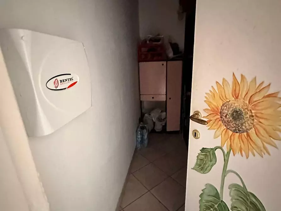 Immagine 15 di Appartamento in vendita  a Campiglia Marittima