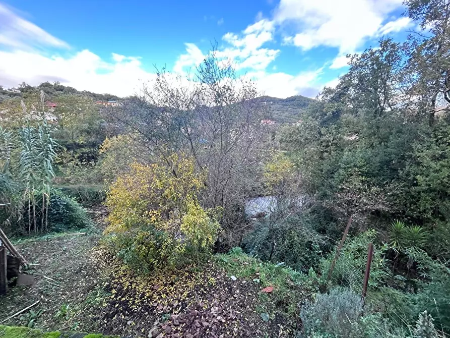 Immagine 27 di Casa indipendente in vendita  a Ortonovo