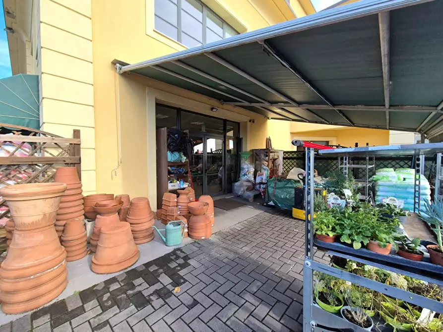 Immagine 4 di Locale commerciale in vendita  a Capannori