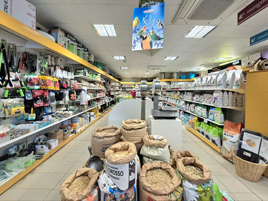 Immagine 9 di Locale commerciale in vendita  a Capannori