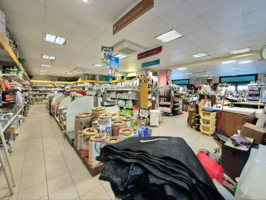 Immagine 10 di Locale commerciale in vendita  a Capannori