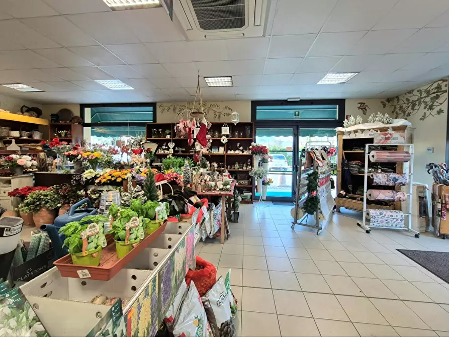 Immagine 7 di Locale commerciale in vendita  a Capannori
