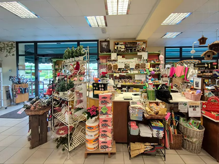 Immagine 14 di Locale commerciale in vendita  a Capannori