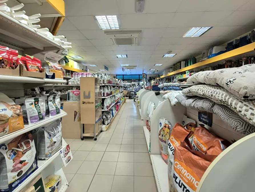 Immagine 15 di Locale commerciale in vendita  a Capannori