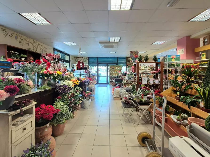 Immagine 11 di Locale commerciale in vendita  a Capannori