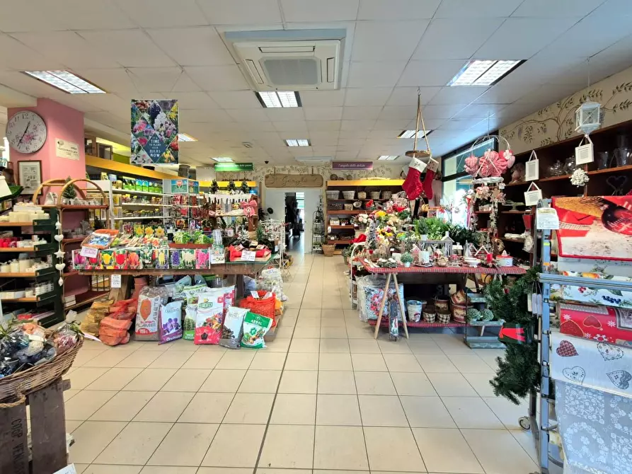 Immagine 6 di Locale commerciale in vendita  a Capannori