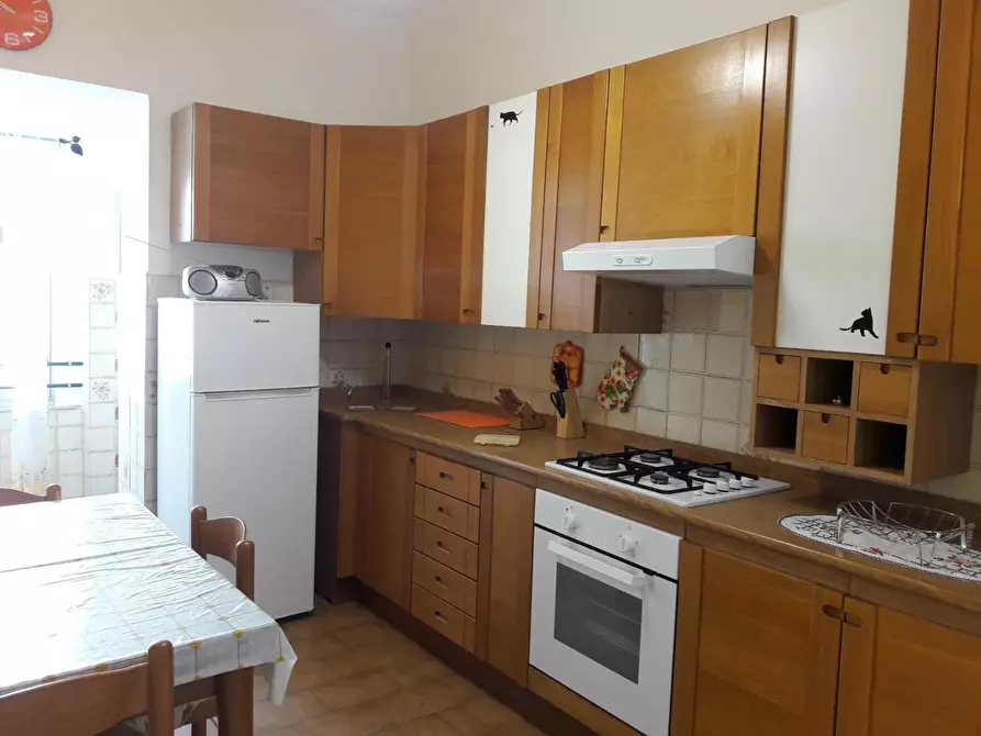 Immagine 14 di Appartamento in affitto  a Pisa