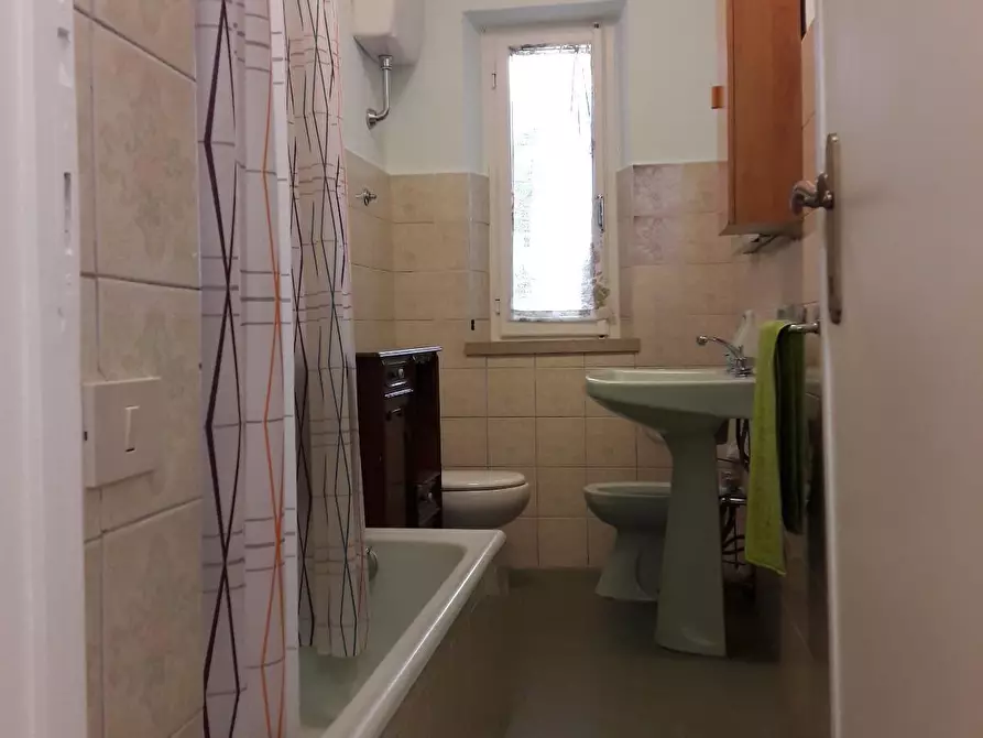 Immagine 11 di Appartamento in affitto  a Pisa