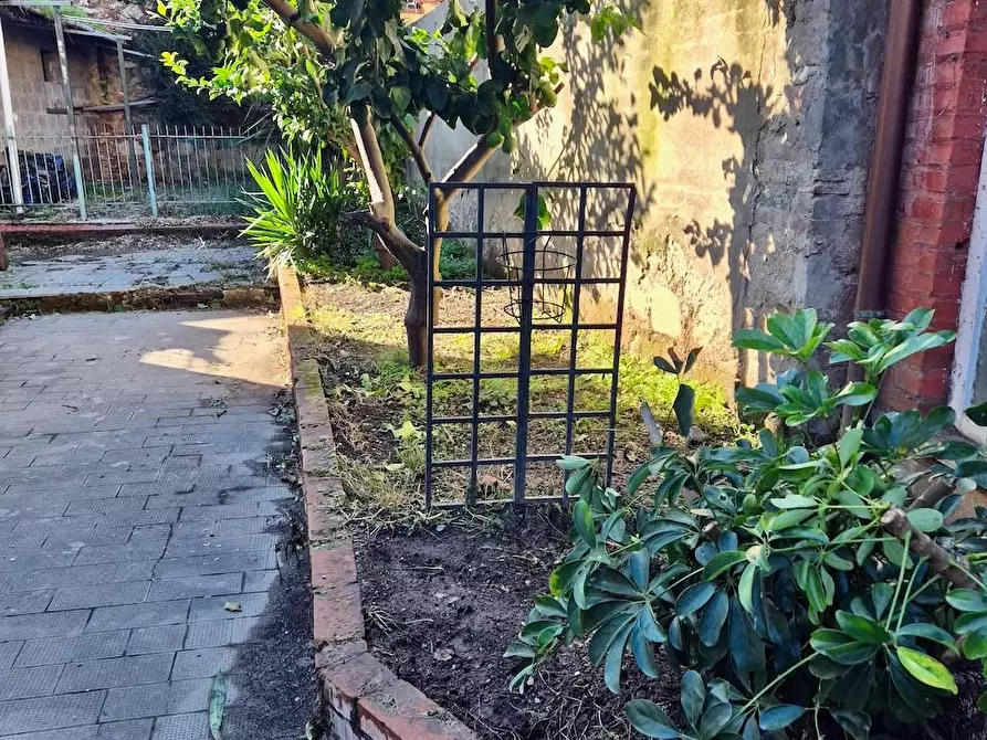 Immagine 21 di Villa in vendita  a Pisa