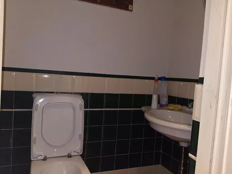 Immagine 20 di Terratetto in affitto  a Buti