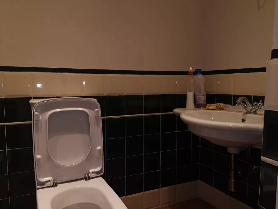 Immagine 21 di Terratetto in affitto  a Buti