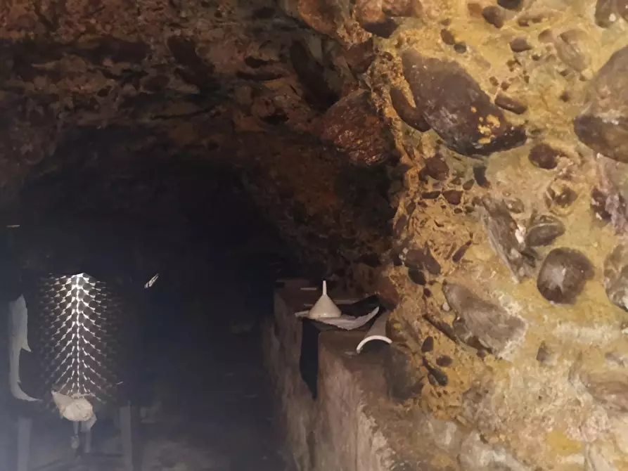 Immagine 35 di Terratetto in affitto  a Buti