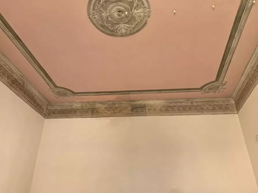 Immagine 9 di Terratetto in affitto  a Buti