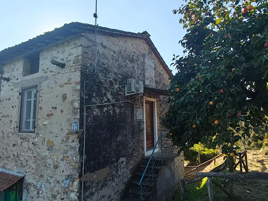 Immagine 1 di Appartamento in vendita  a Lucca