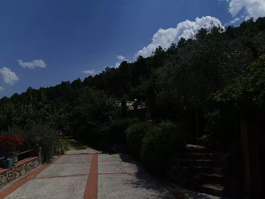 Immagine 39 di Villa in vendita  a Buti