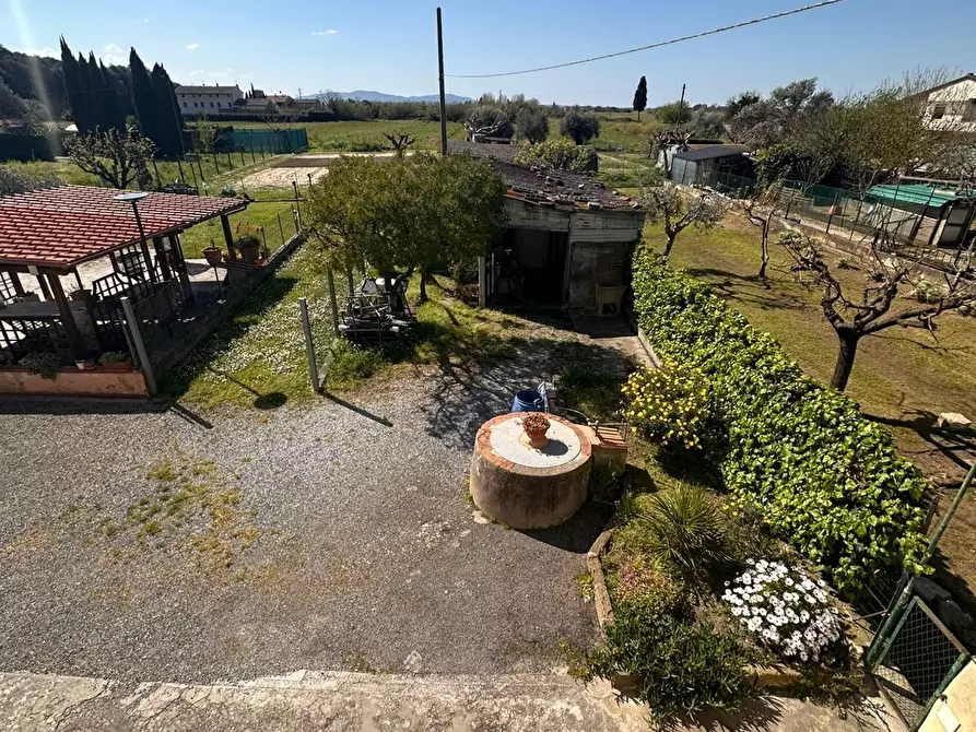 Immagine 6 di Terratetto in vendita  a Cascina