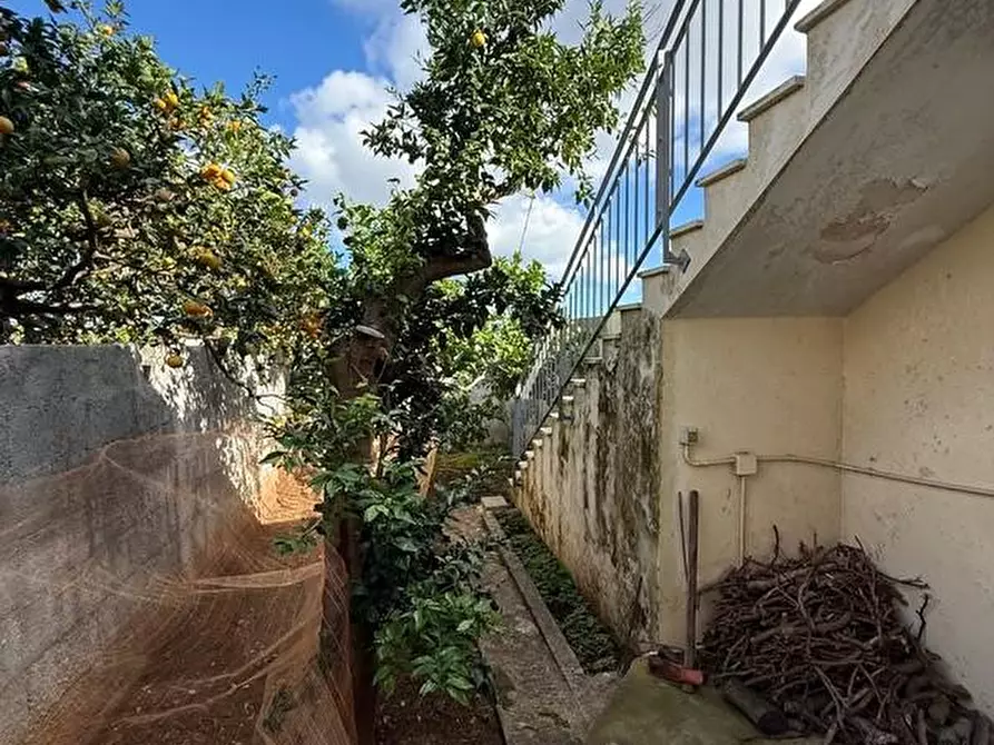 Immagine 30 di Appartamento in vendita  a Alessano