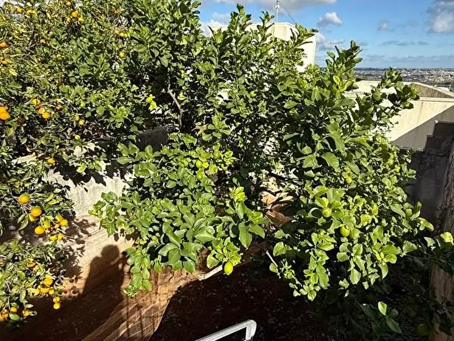 Immagine 28 di Appartamento in vendita  a Alessano