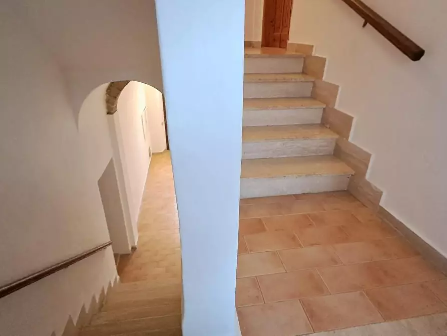 Immagine 30 di Appartamento in vendita  a Cecina