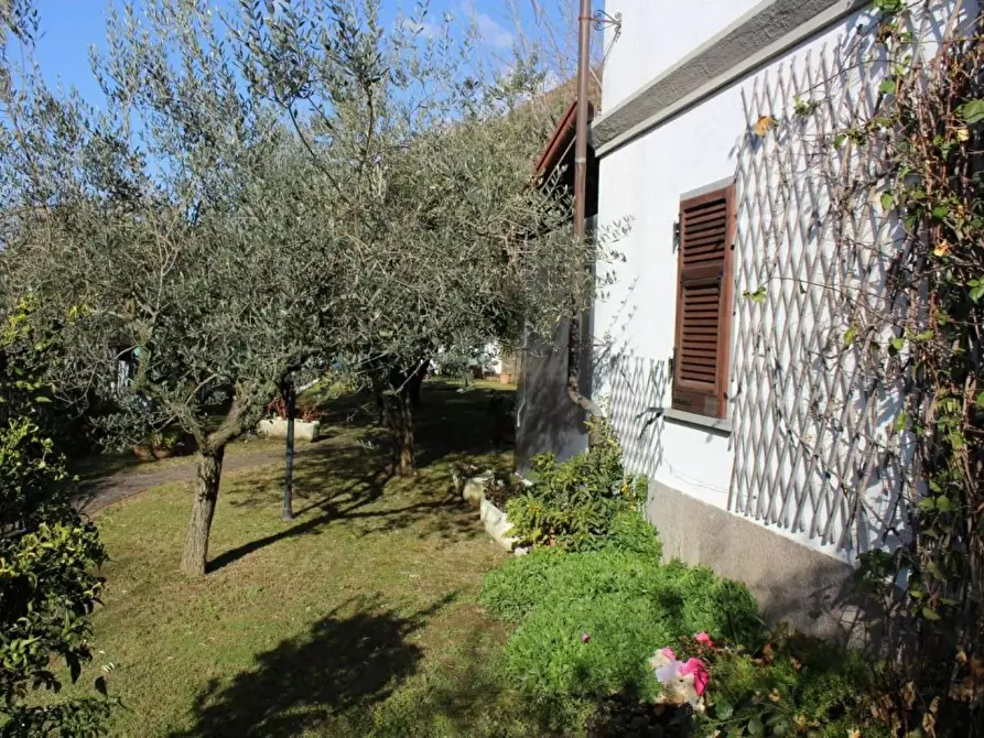 Immagine 3 di Casa indipendente in vendita  a Carrara