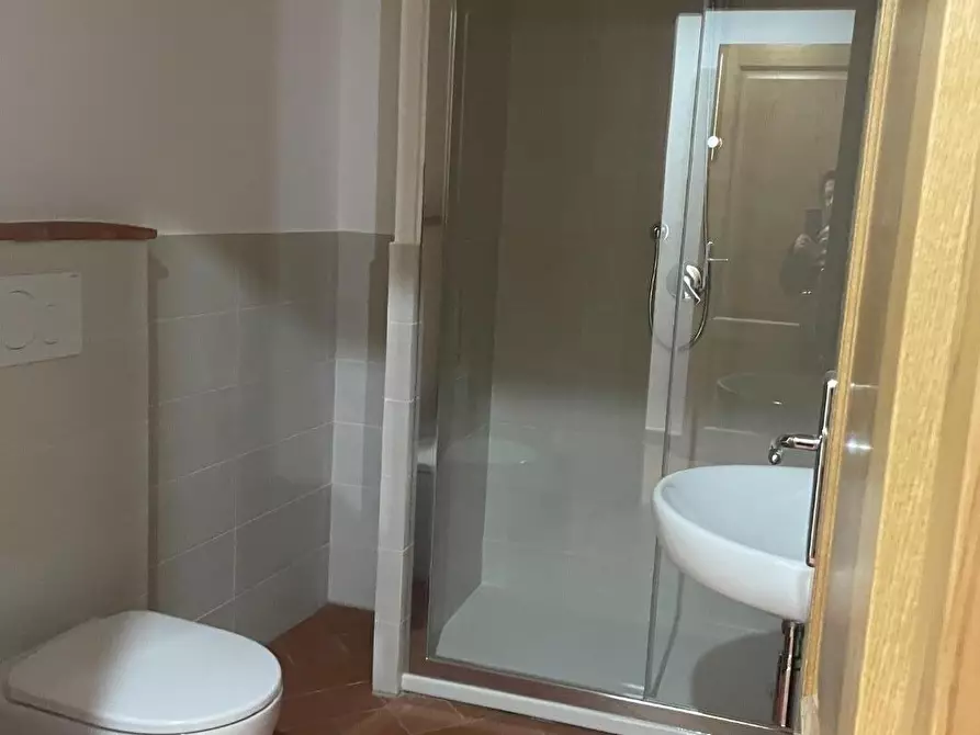 Immagine 5 di Terratetto in affitto  a San Giuliano Terme