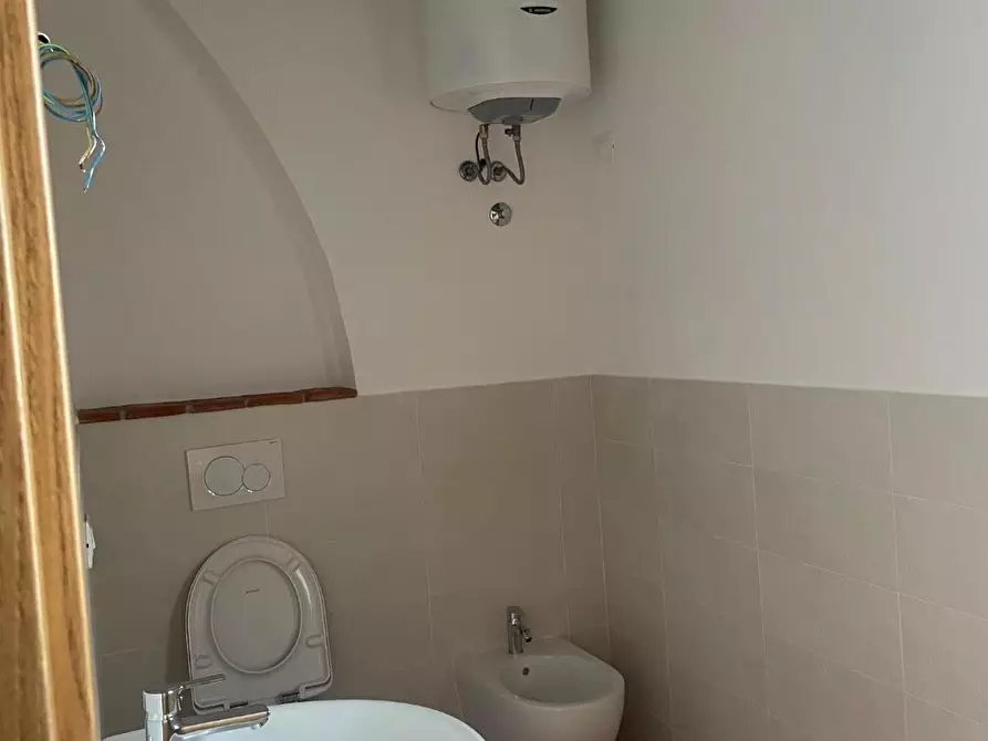 Immagine 15 di Terratetto in affitto  a San Giuliano Terme