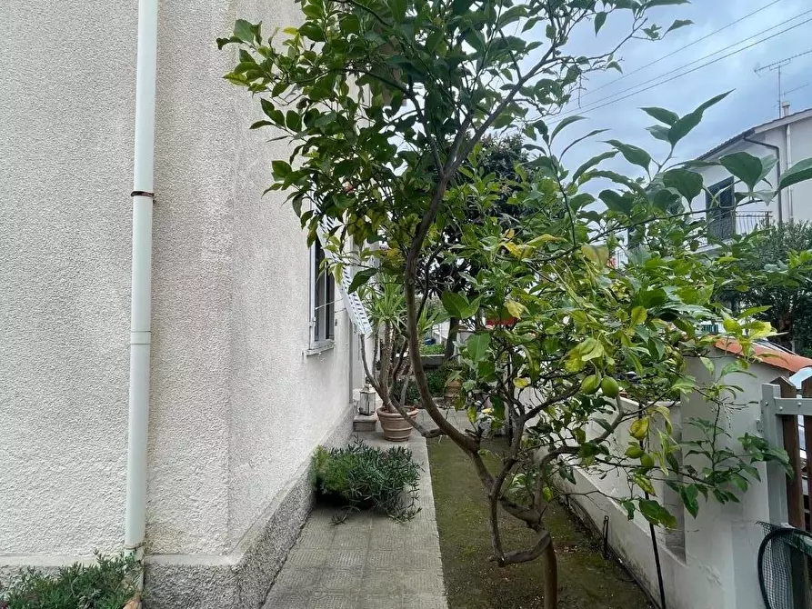 Immagine 19 di Villa in vendita  a Rosignano Marittimo