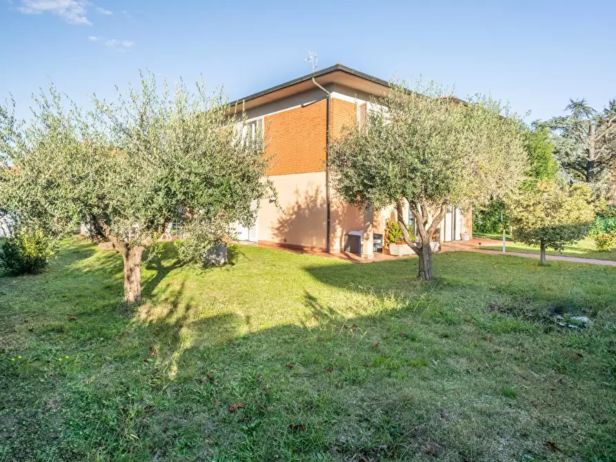 Immagine 14 di Villa in vendita  a Crespina Lorenzana