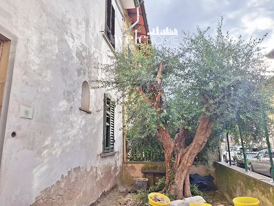 Immagine 10 di Terratetto in vendita  a Campi Bisenzio