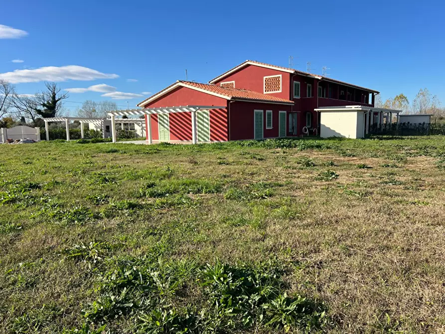 Immagine 4 di Villa in vendita  a Calcinaia