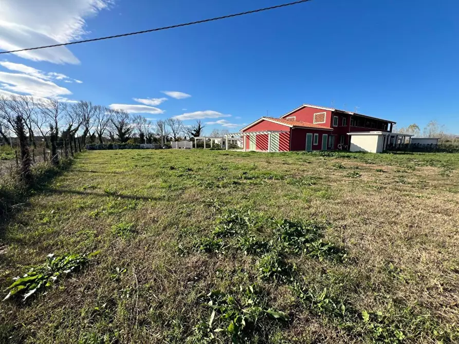 Immagine 6 di Villa in vendita  a Calcinaia