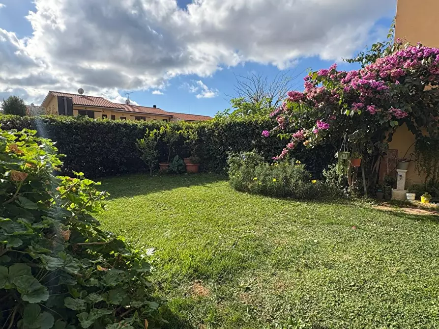 Immagine 21 di Appartamento in vendita  a Bibbona