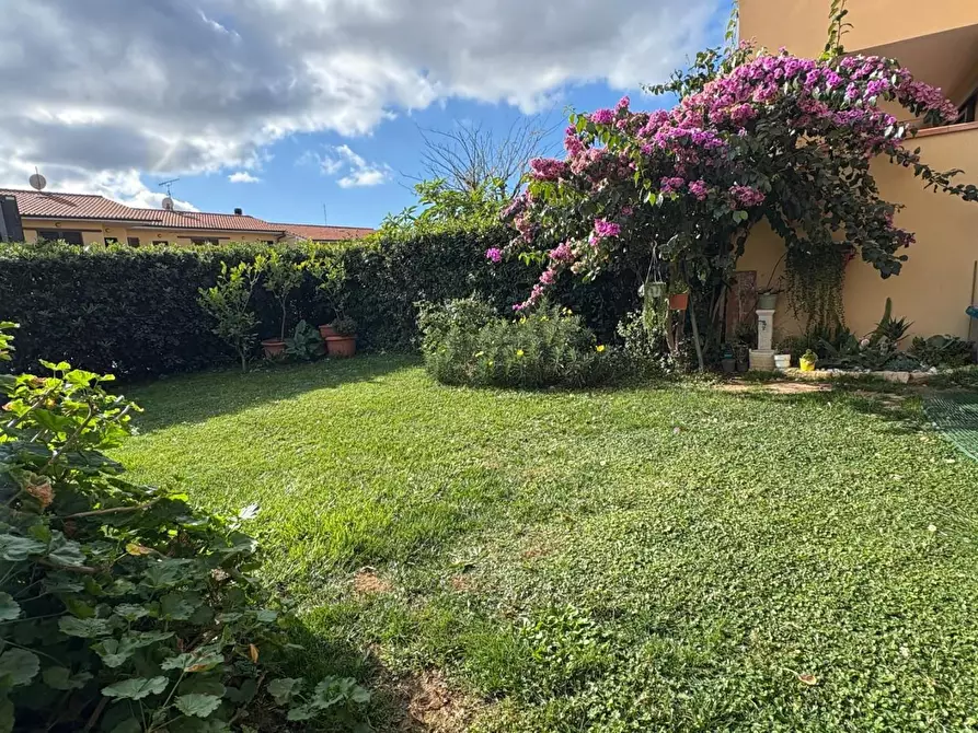 Immagine 1 di Appartamento in vendita  a Bibbona