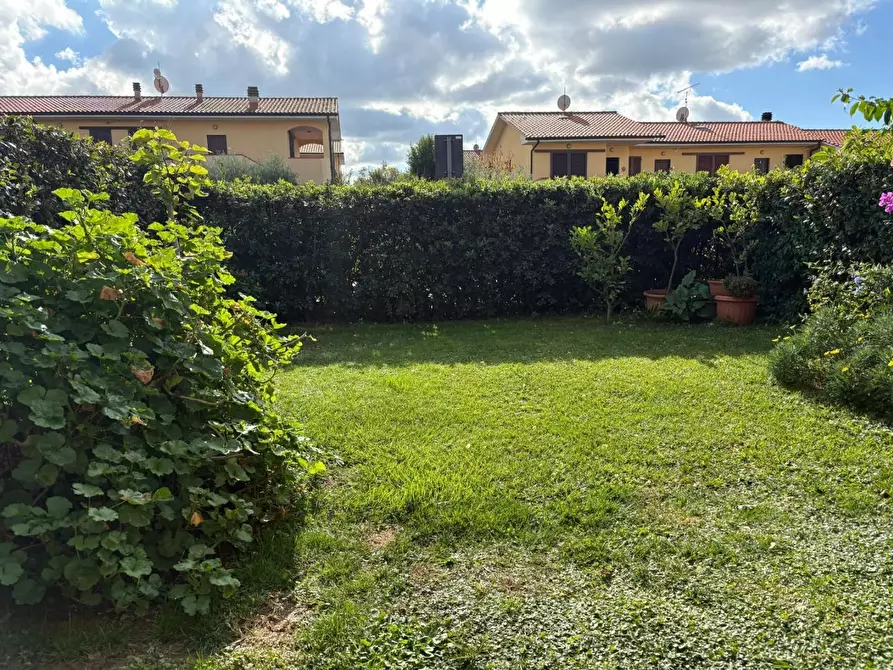 Immagine 23 di Appartamento in vendita  a Bibbona