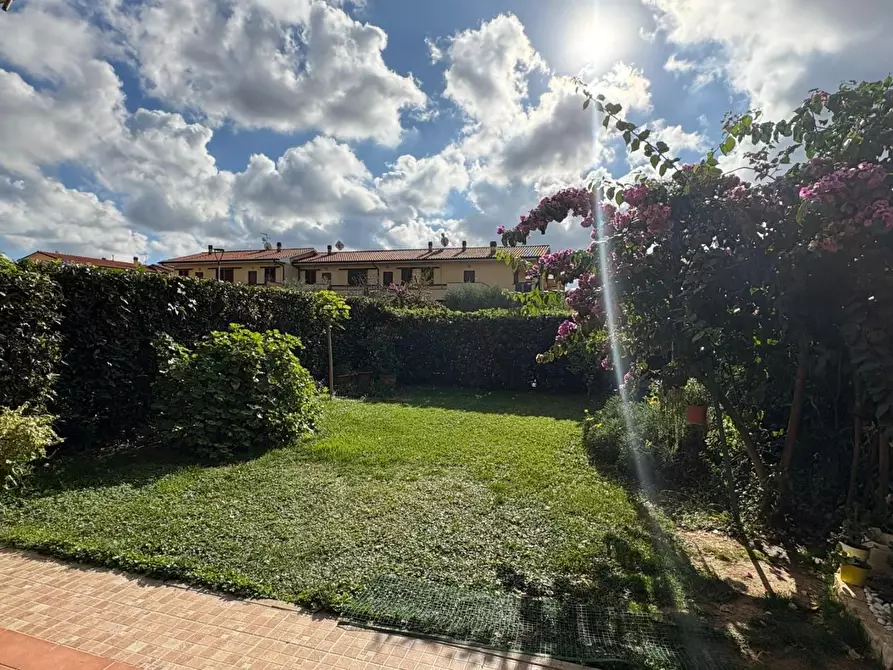 Immagine 20 di Appartamento in vendita  a Bibbona