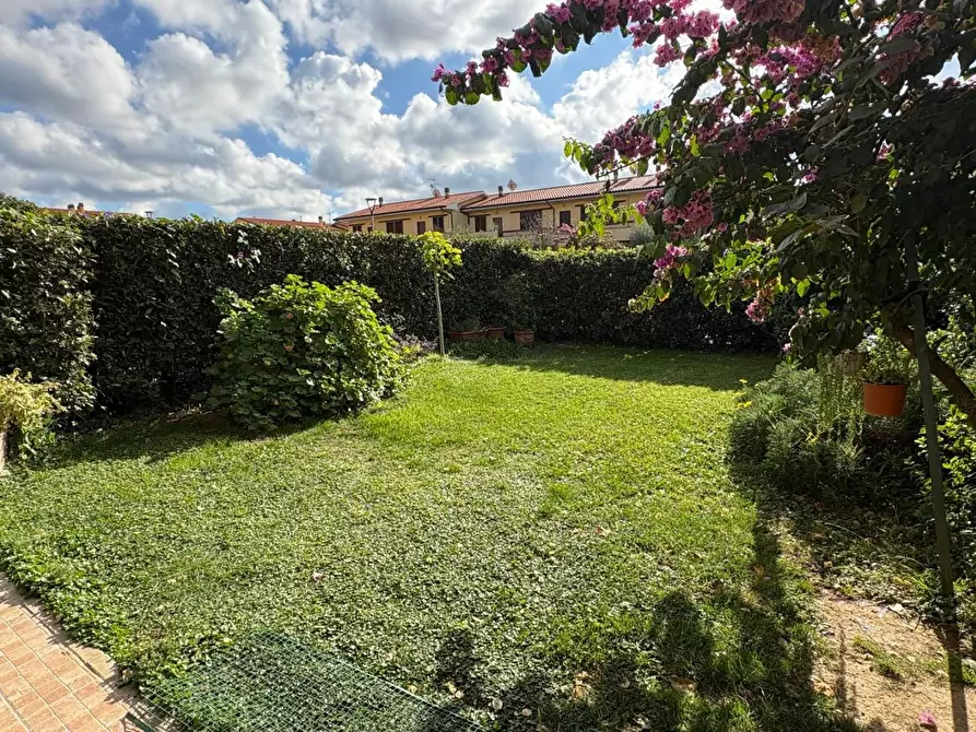 Immagine 22 di Appartamento in vendita  a Bibbona