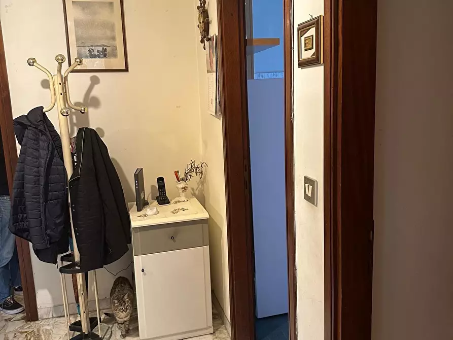 Immagine 13 di Appartamento in vendita  a Pisa