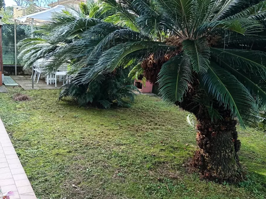 Immagine 24 di Appartamento in vendita  a Massa