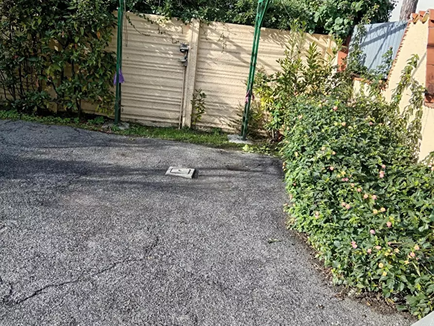 Immagine 9 di Appartamento in vendita  a Massa