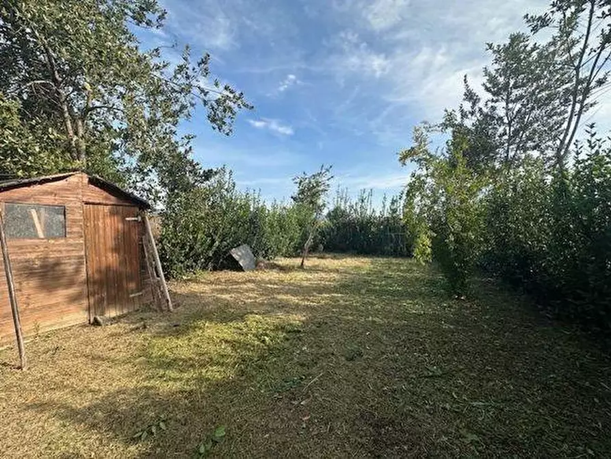 Immagine 2 di Casa indipendente in vendita  a Pisa