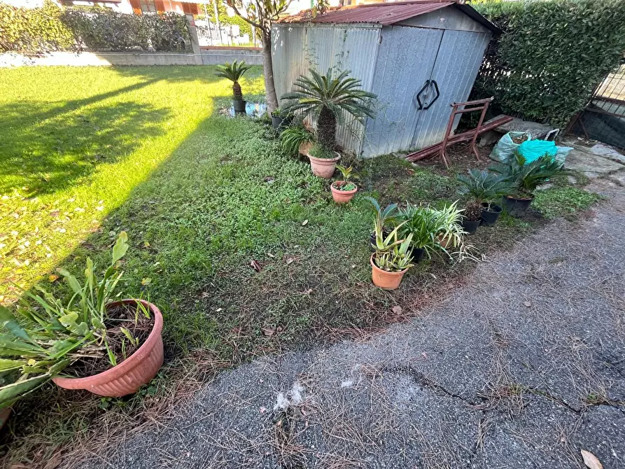 Immagine 2 di Casa indipendente in vendita  a Massa