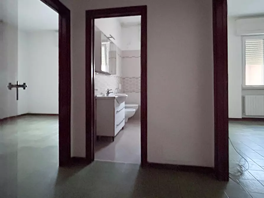 Immagine 15 di Appartamento in vendita  a Rosignano Marittimo