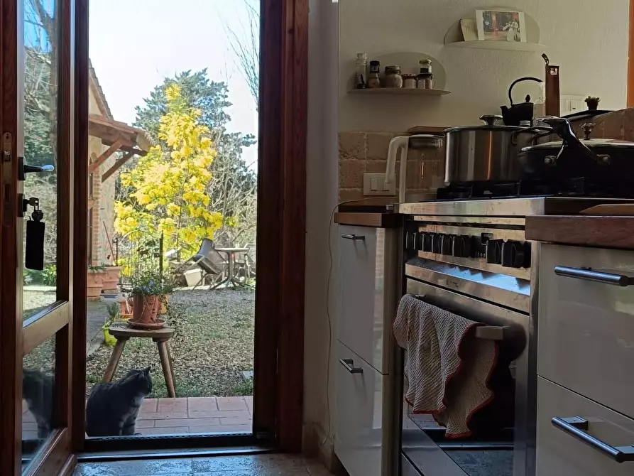 Immagine 5 di Appartamento in vendita  a Colle Di Val D'elsa