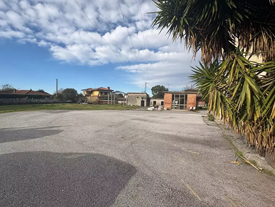 Immagine 5 di Palazzo in vendita  a Montignoso