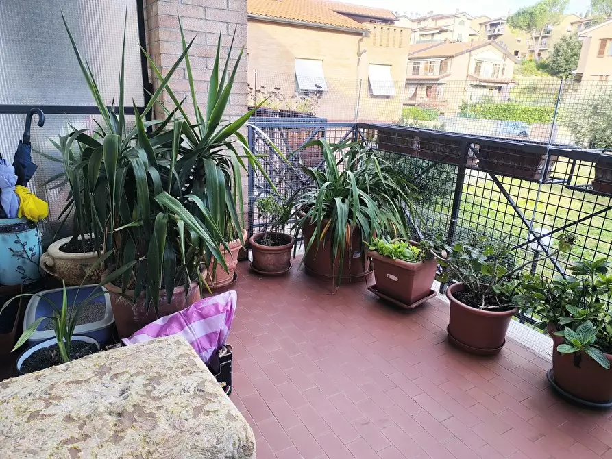 Immagine 28 di Appartamento in vendita  a Asciano