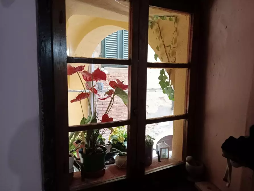 Immagine 9 di Appartamento in vendita  a Peccioli