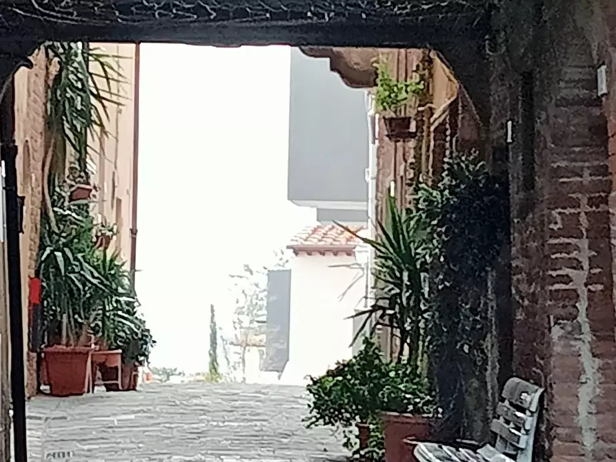 Immagine 19 di Appartamento in vendita  a Peccioli