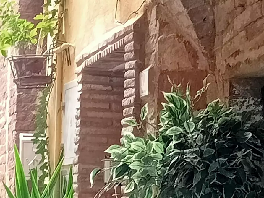 Immagine 23 di Appartamento in vendita  a Peccioli