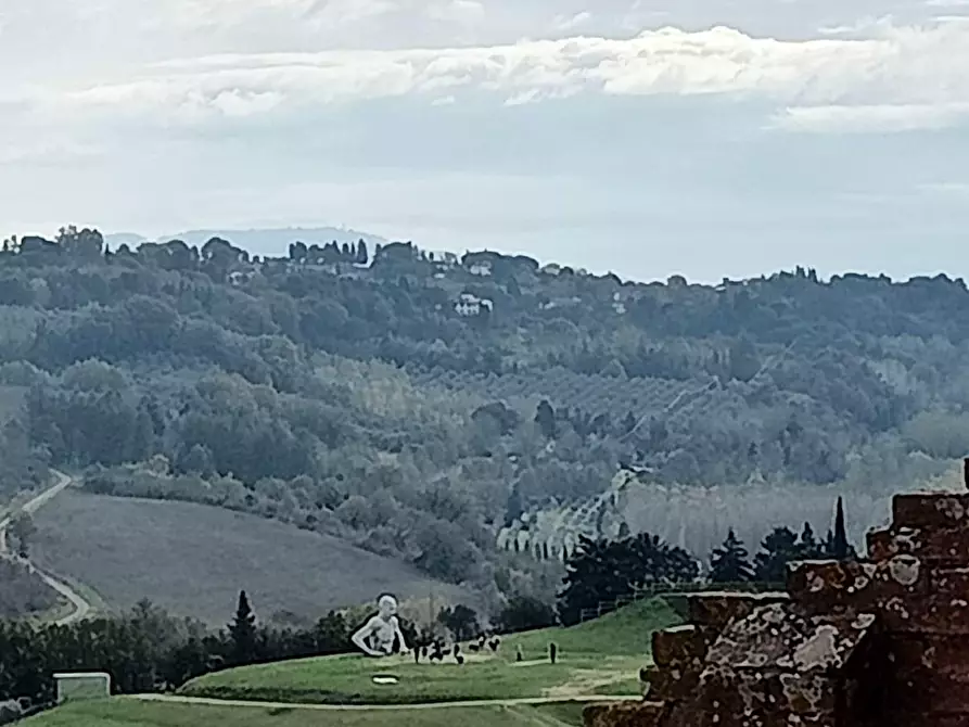 Immagine 22 di Appartamento in vendita  a Peccioli