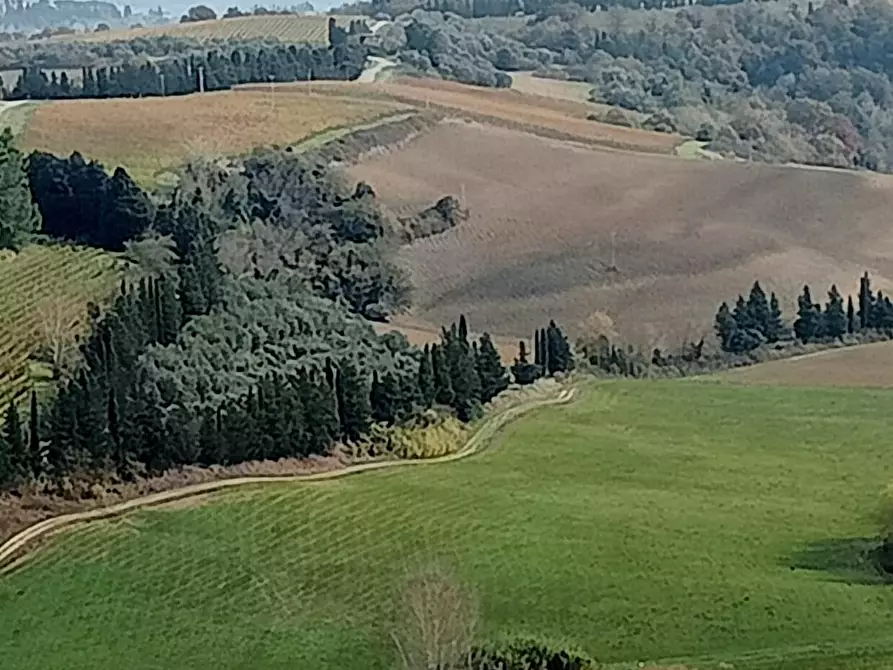 Immagine 21 di Appartamento in vendita  a Peccioli